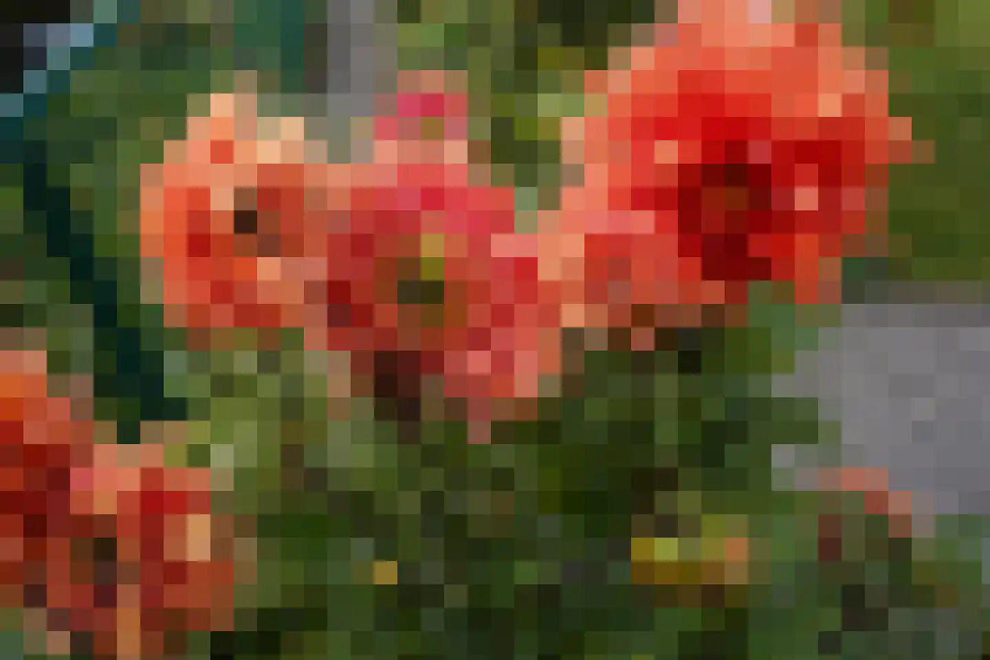 KWL-park 38 Oostburg thumbnail 37