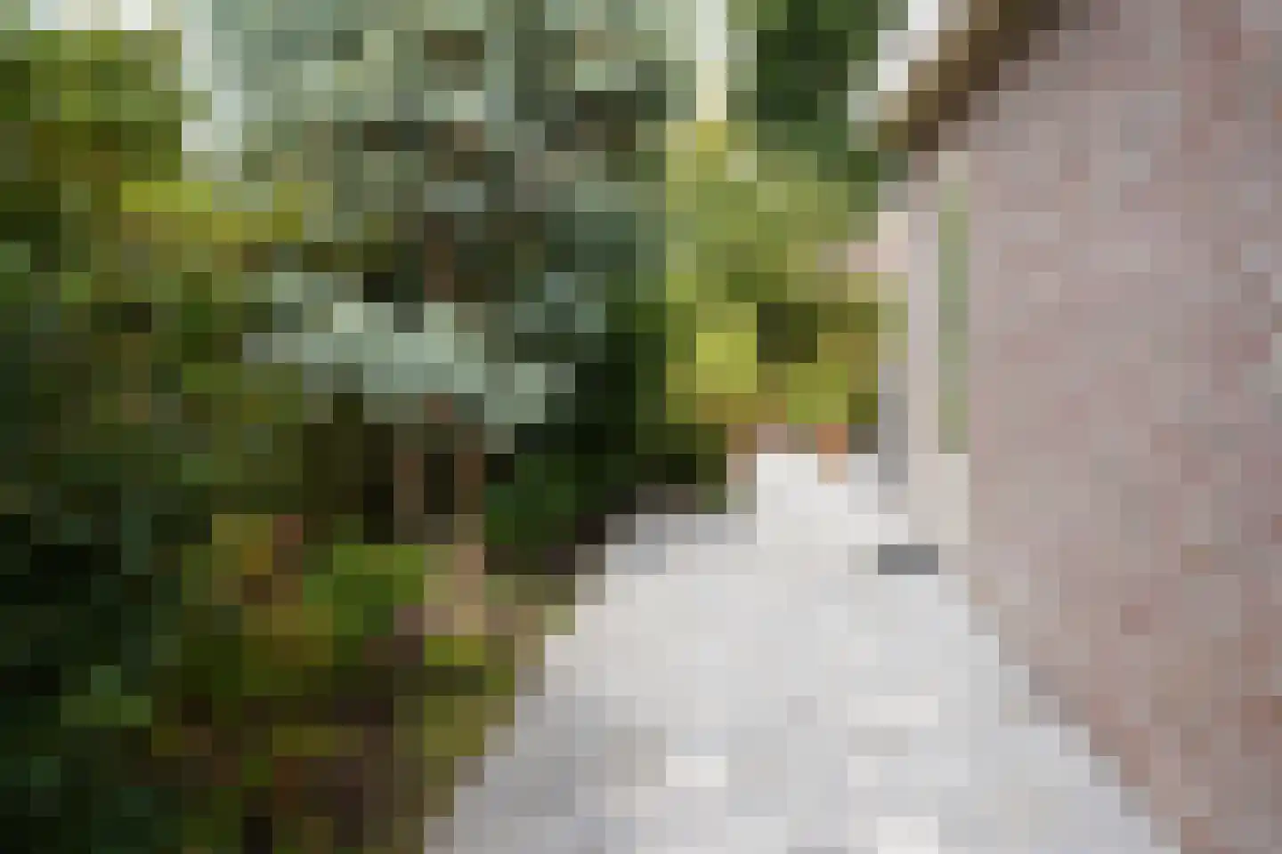KWL-park 38 Oostburg thumbnail 41