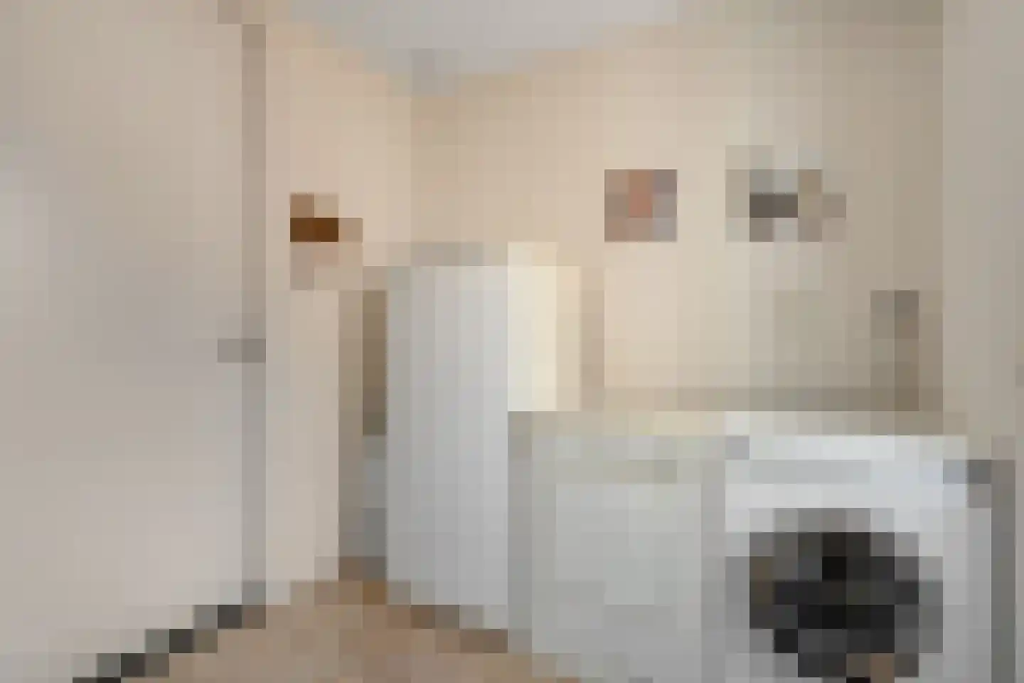 Kylstraat 3 Hoogersmilde thumbnail 27
