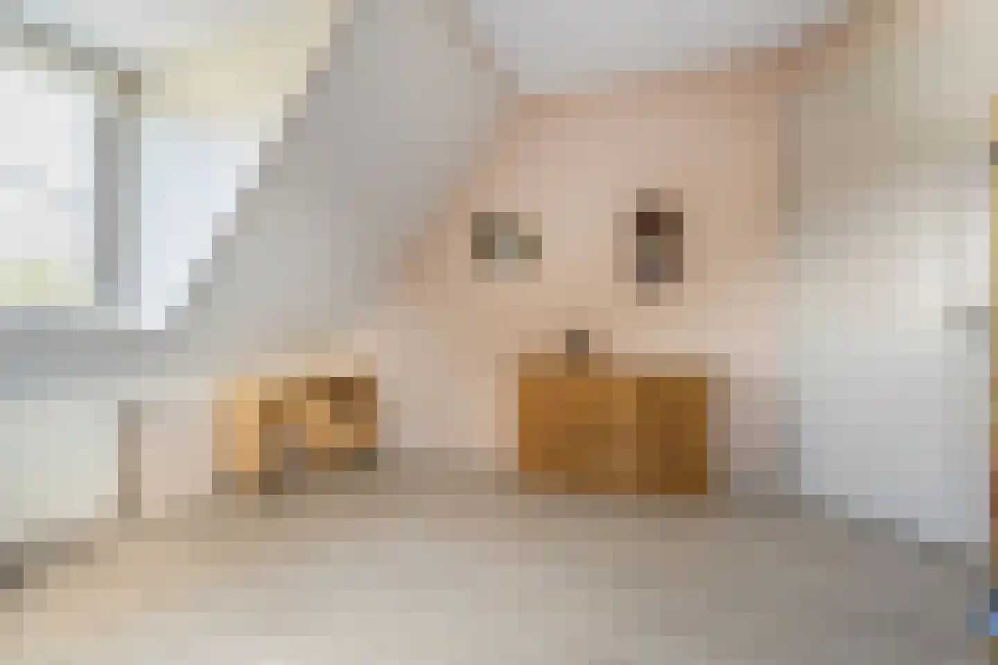 Kylstraat 3 Hoogersmilde thumbnail 37