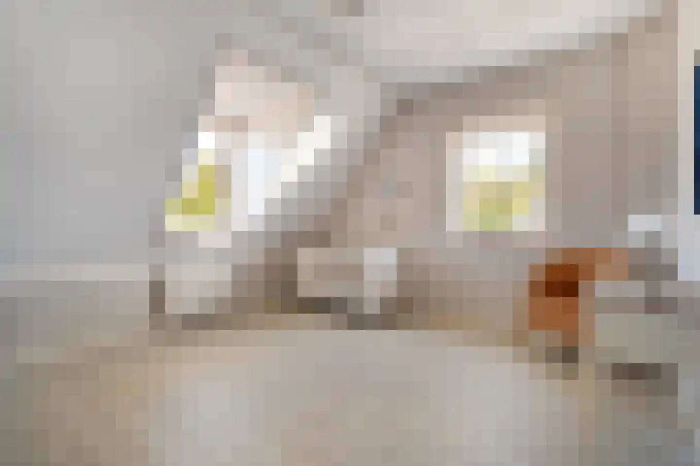 Kylstraat 3 Hoogersmilde thumbnail 38