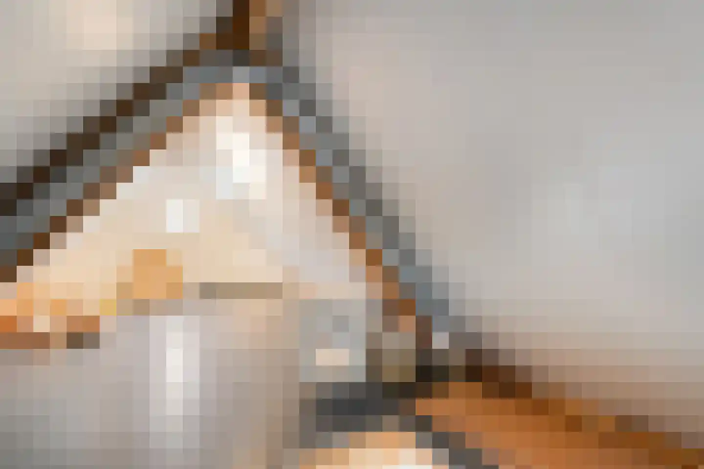 Kylstraat 3 Hoogersmilde thumbnail 46