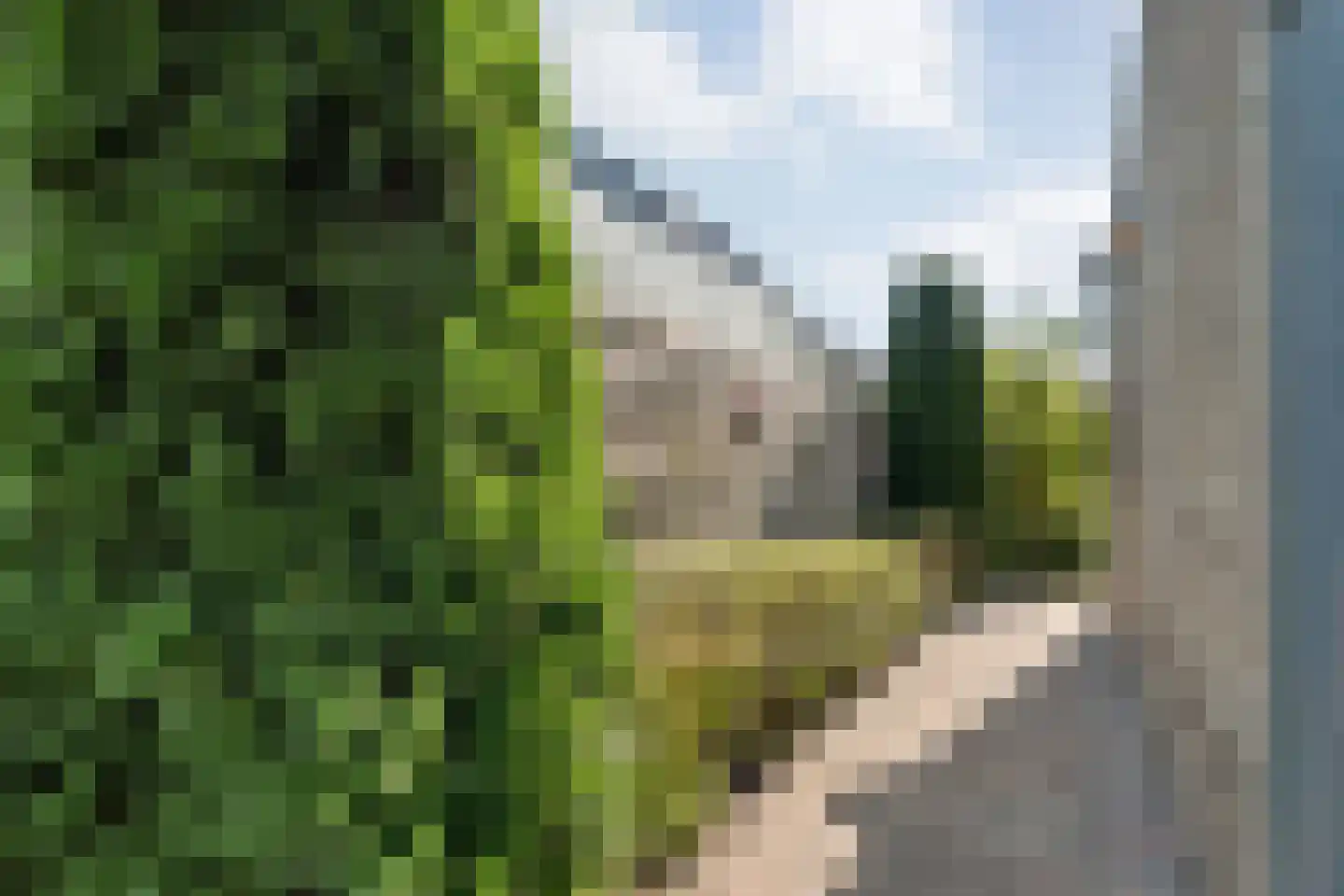 Kylstraat 3 Hoogersmilde thumbnail 61
