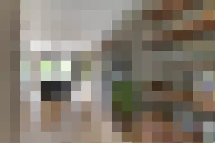 Kymmelhof 23 Assen thumbnail 14