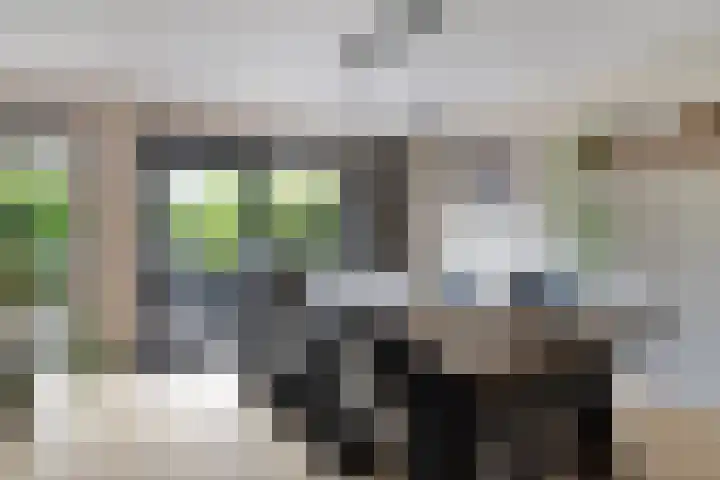 Kymmelhof 23 Assen thumbnail 20