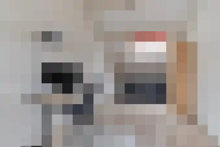Kymmelhof 23 Assen thumbnail 29