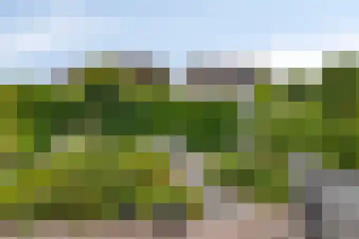 Kymmelhof 23 Assen thumbnail 35