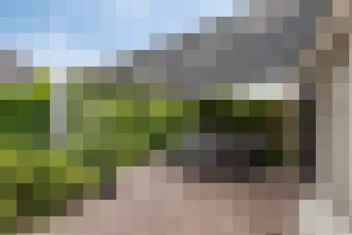 Kymmelhof 23 Assen thumbnail 41