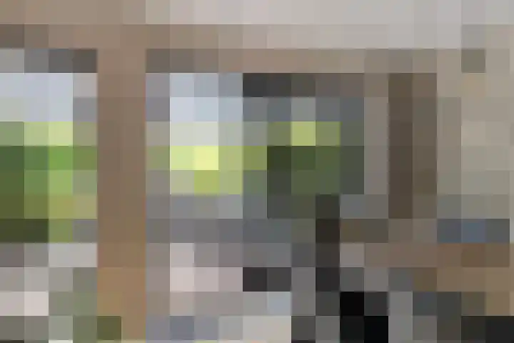Kymmelhof 23 Assen thumbnail 42