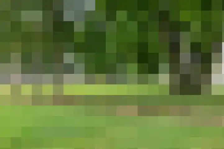 Kymmelhof 23 Assen thumbnail 44
