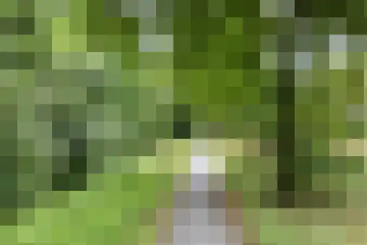 Kymmelhof 23 Assen thumbnail 45