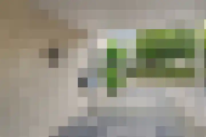 Kymmelhof 23 Assen thumbnail 7