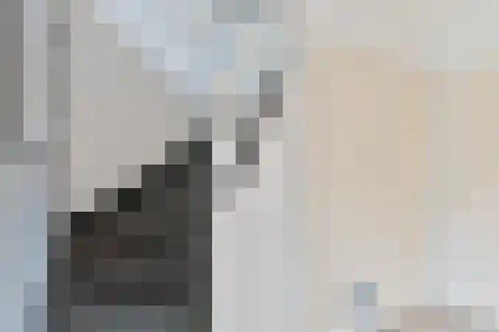 Kymmellstraat 79 Hoogeveen thumbnail 31