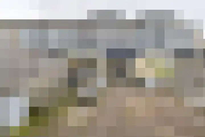 Kymmellstraat 79 Hoogeveen thumbnail 57