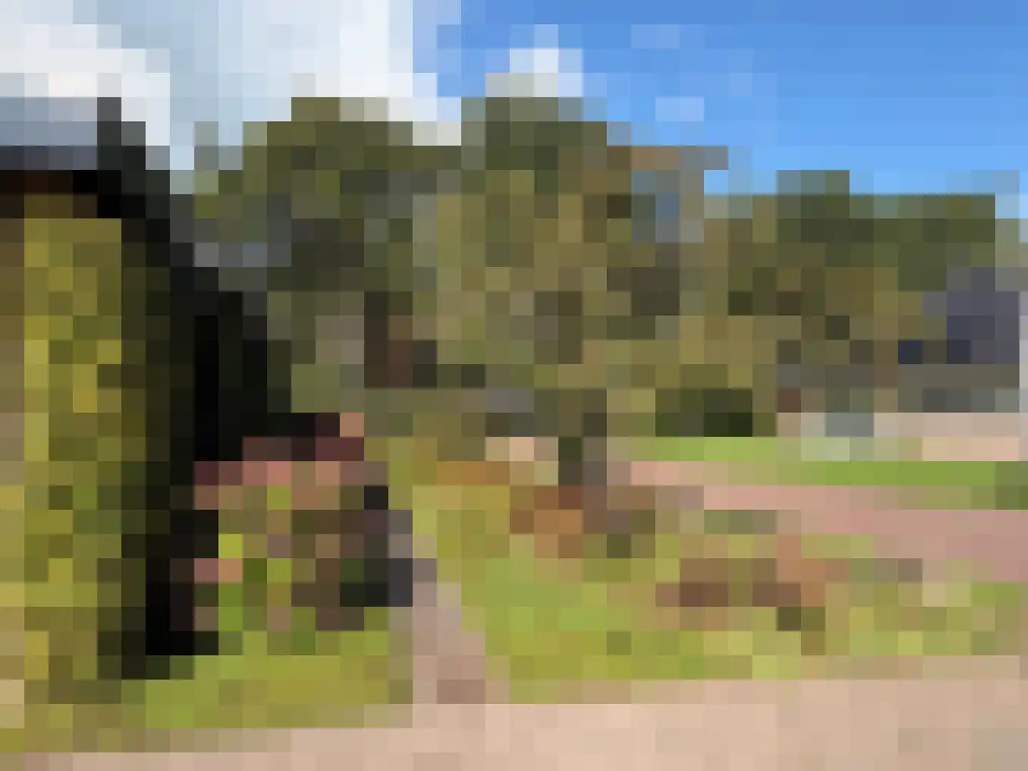 Kymmelskampen 21 Dalen thumbnail 11