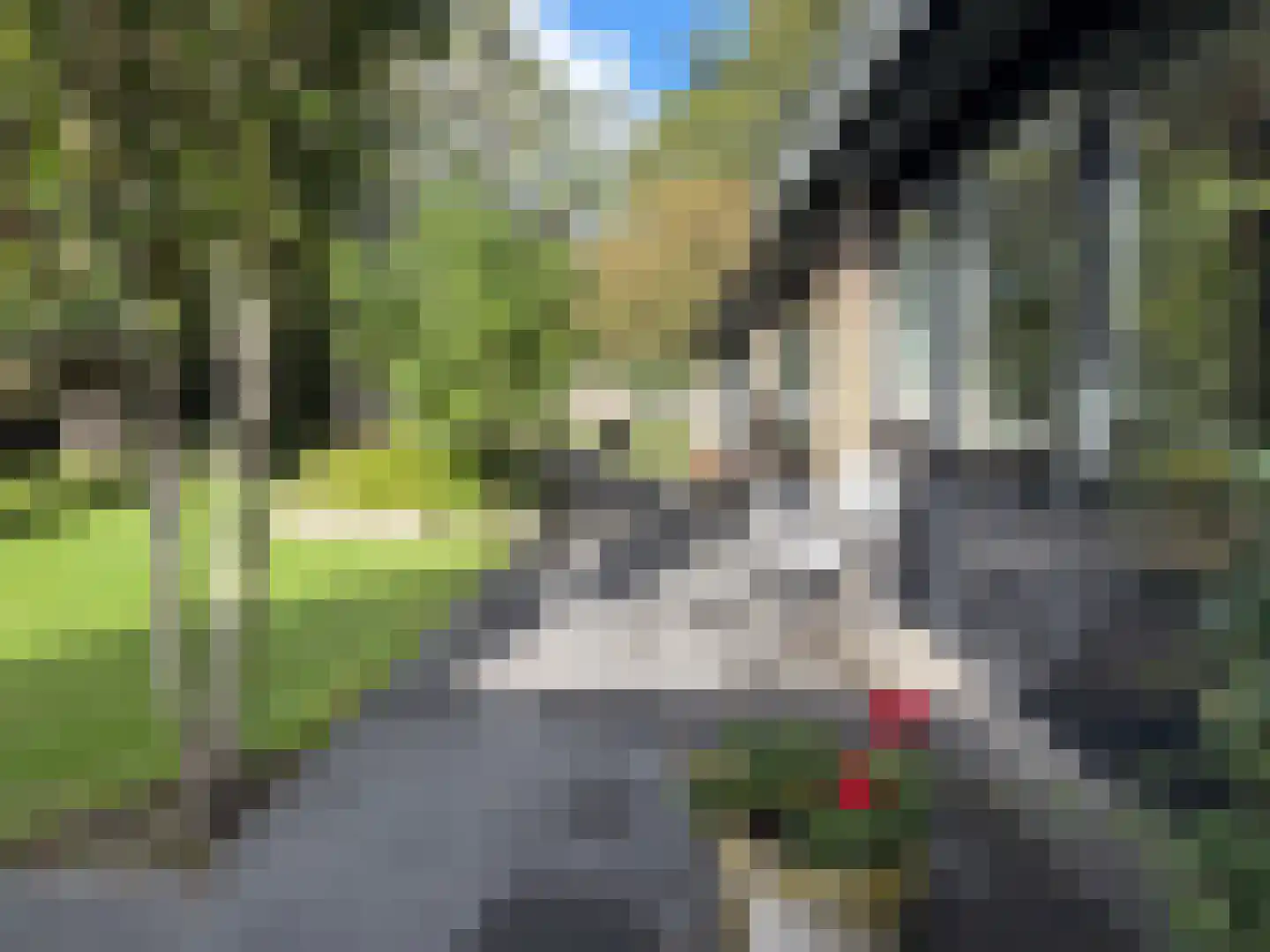 Kymmelskampen 21 Dalen thumbnail 23