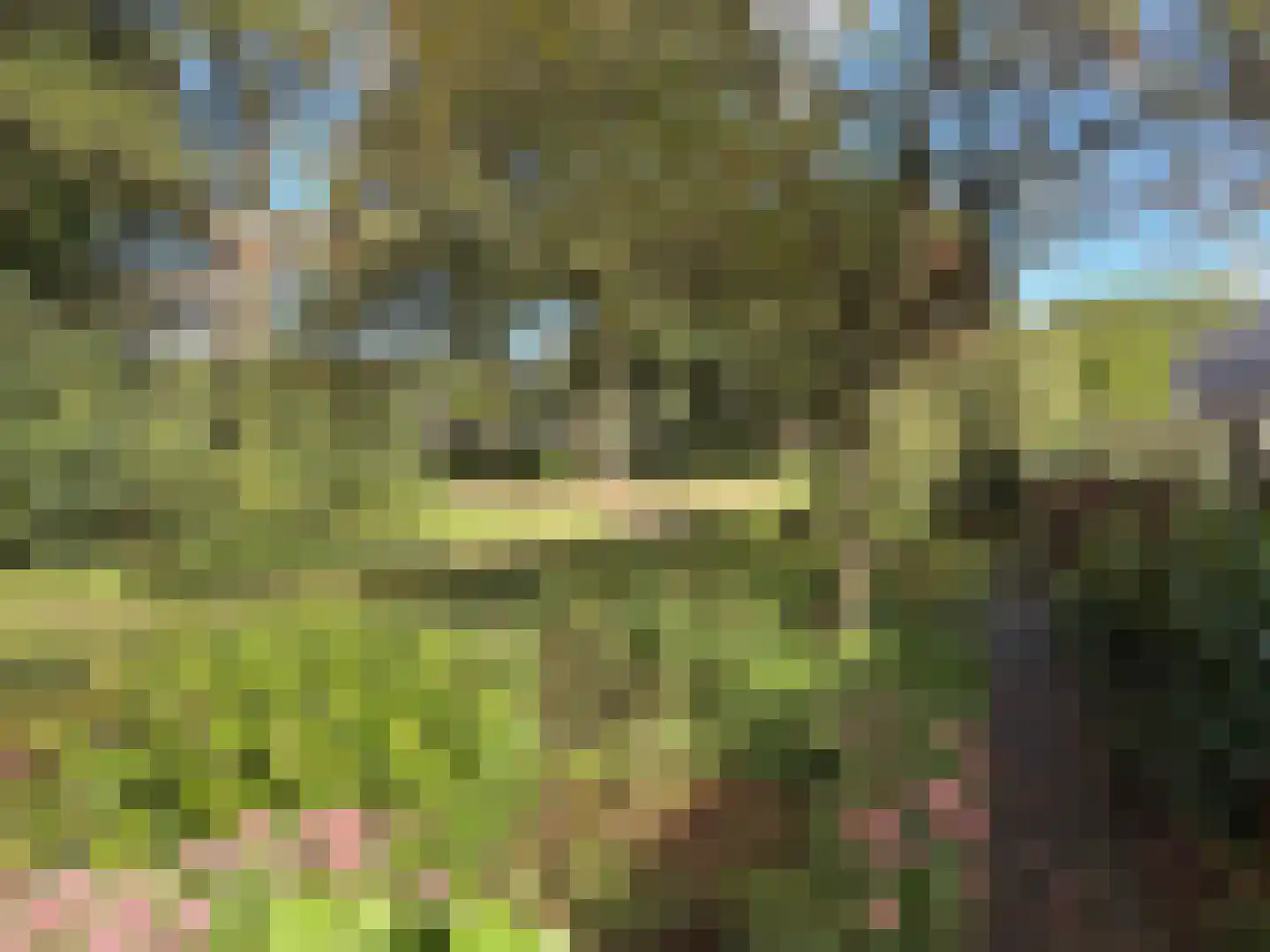 Kymmelskampen 21 Dalen thumbnail 27