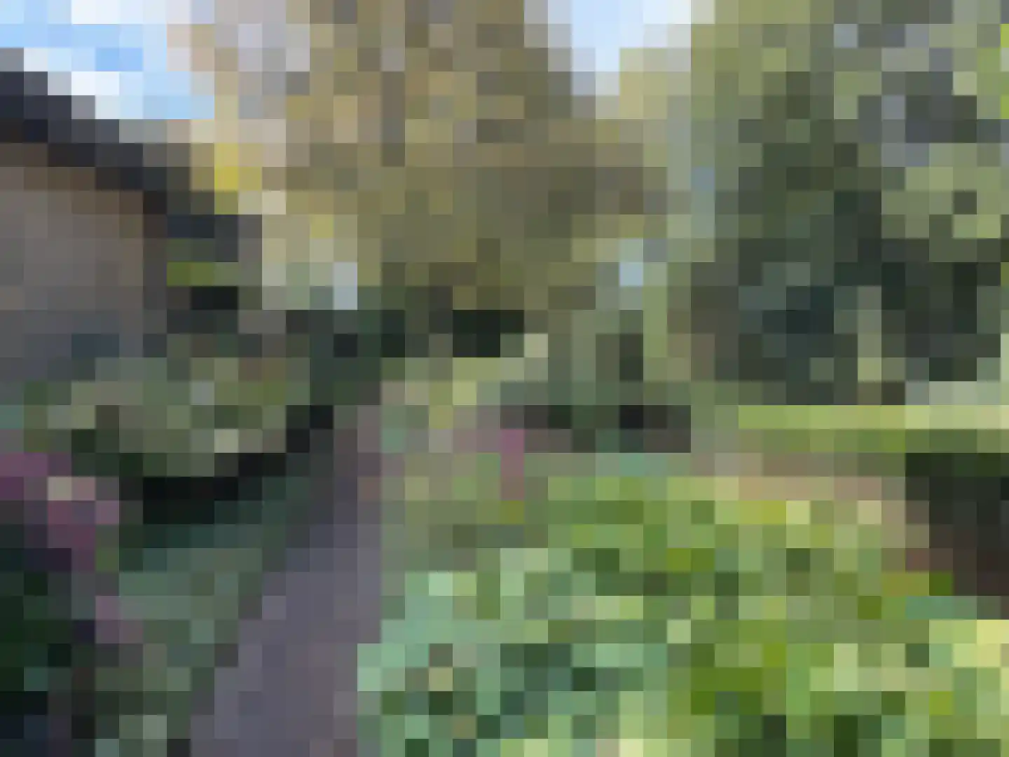 Kymmelskampen 21 Dalen thumbnail 30
