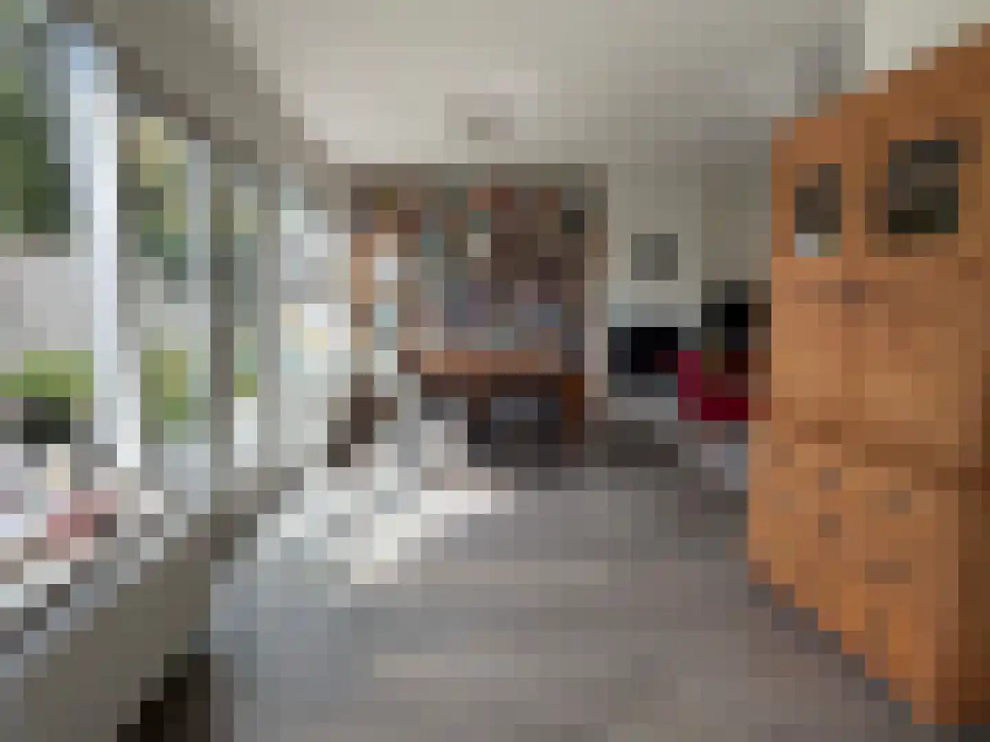 Kymmelskampen 21 Dalen thumbnail 31
