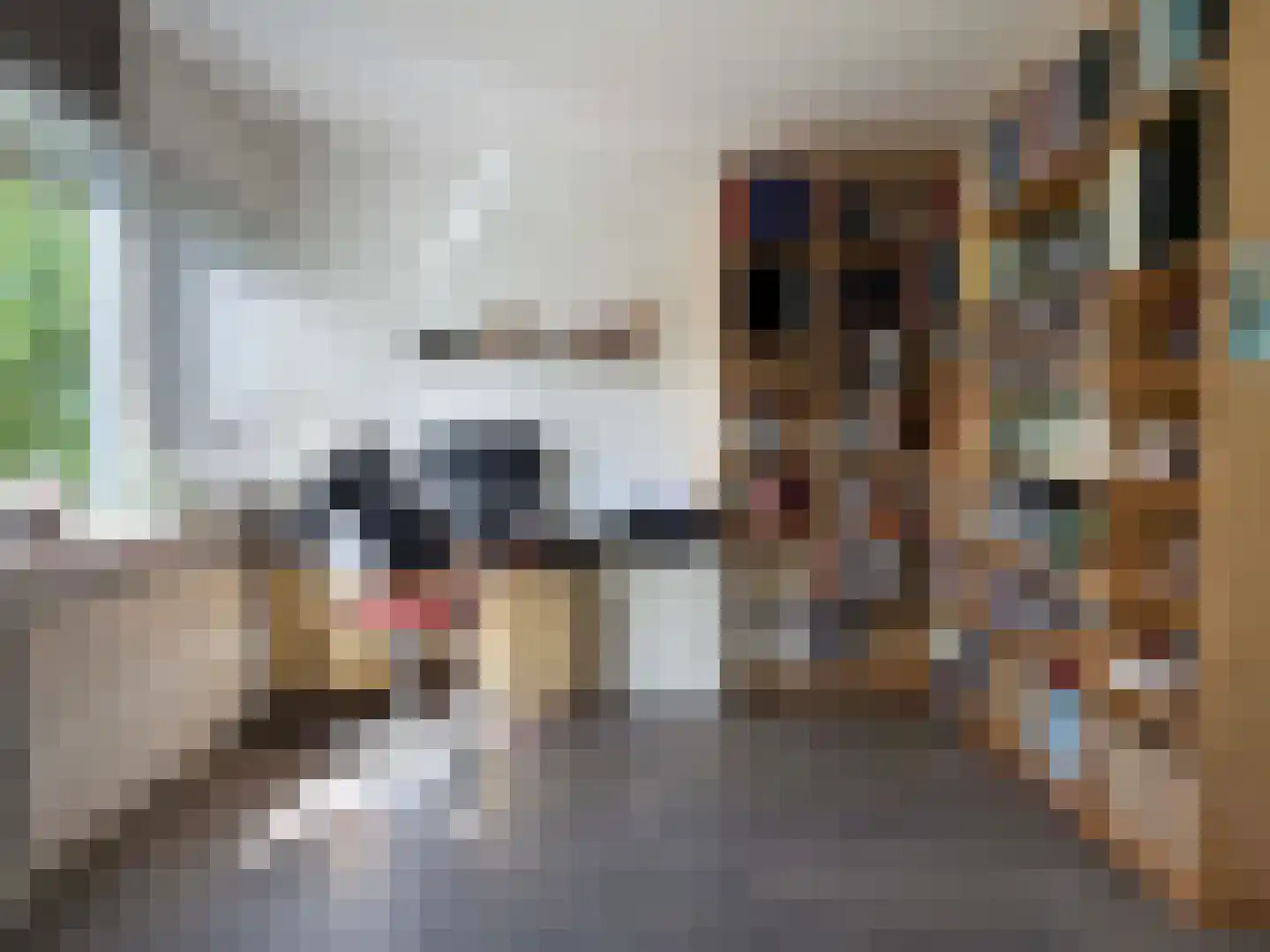 Kymmelskampen 21 Dalen thumbnail 41