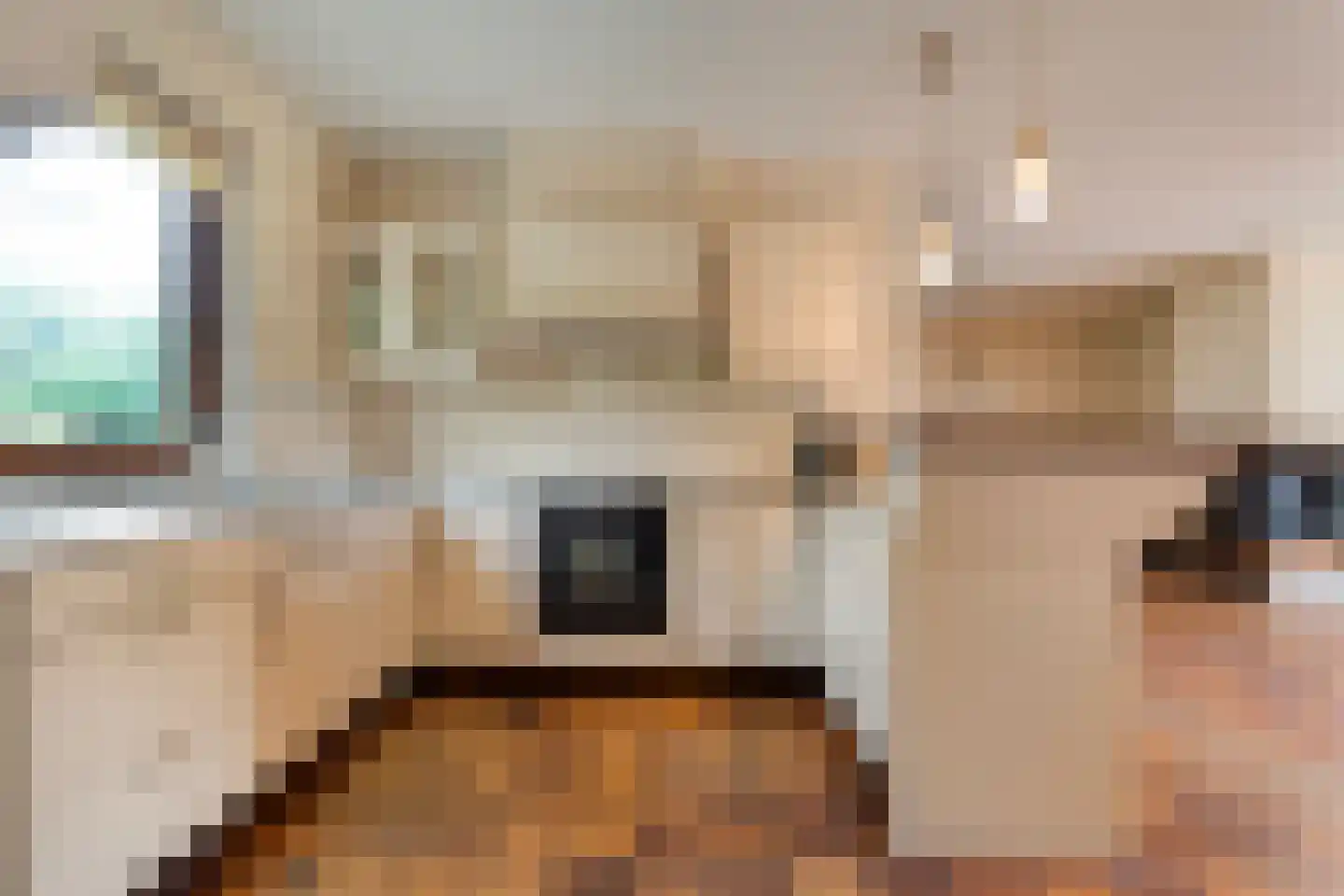 Kymmelskampen 33 Dalen thumbnail 21