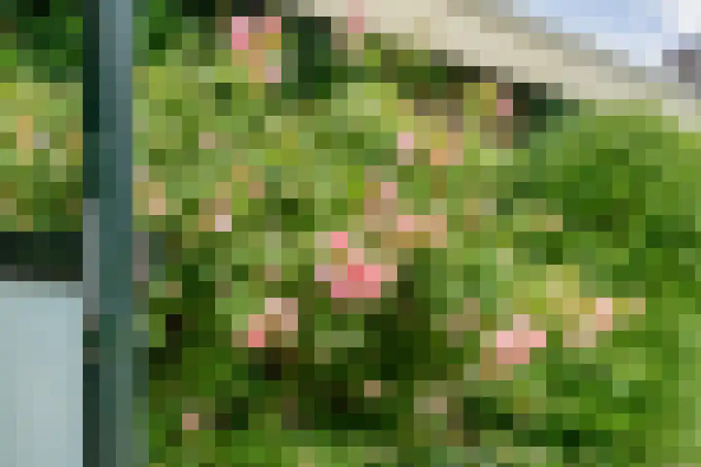 Kymmelskampen 33 Dalen thumbnail 44