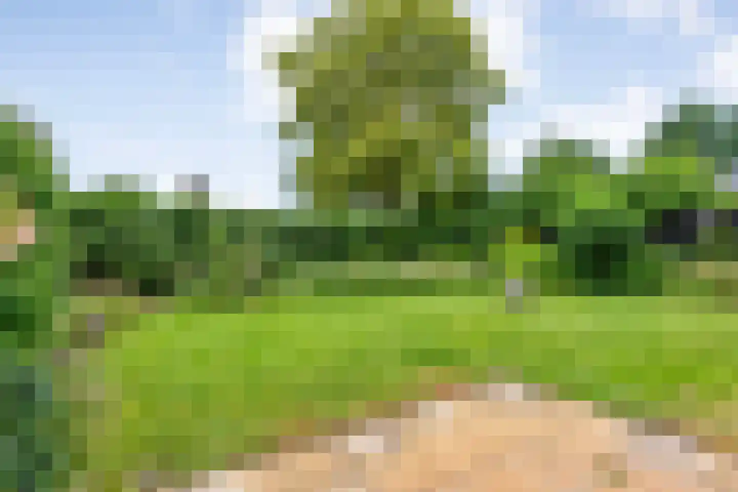 Kymmelskampen 33 Dalen thumbnail 49