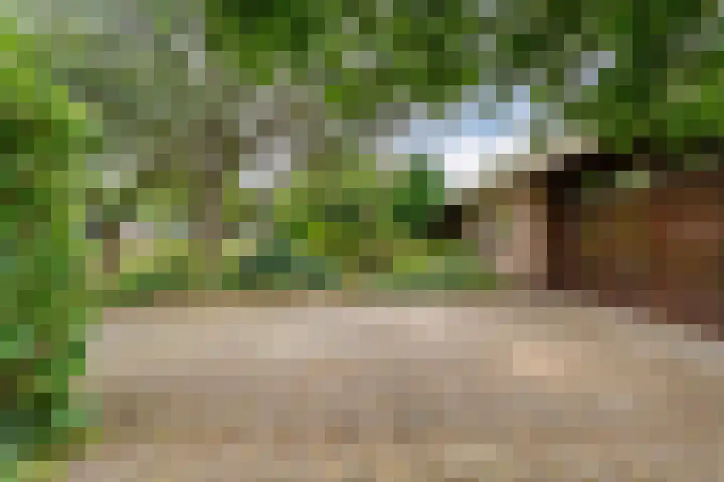 Kymmelskampen 33 Dalen thumbnail 6