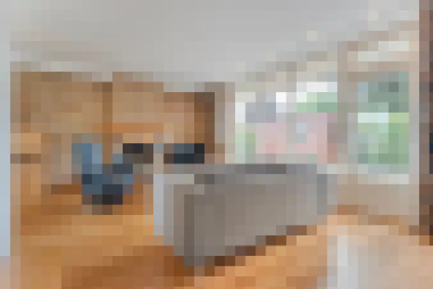 Kymmelskampen 36 Dalen thumbnail 11