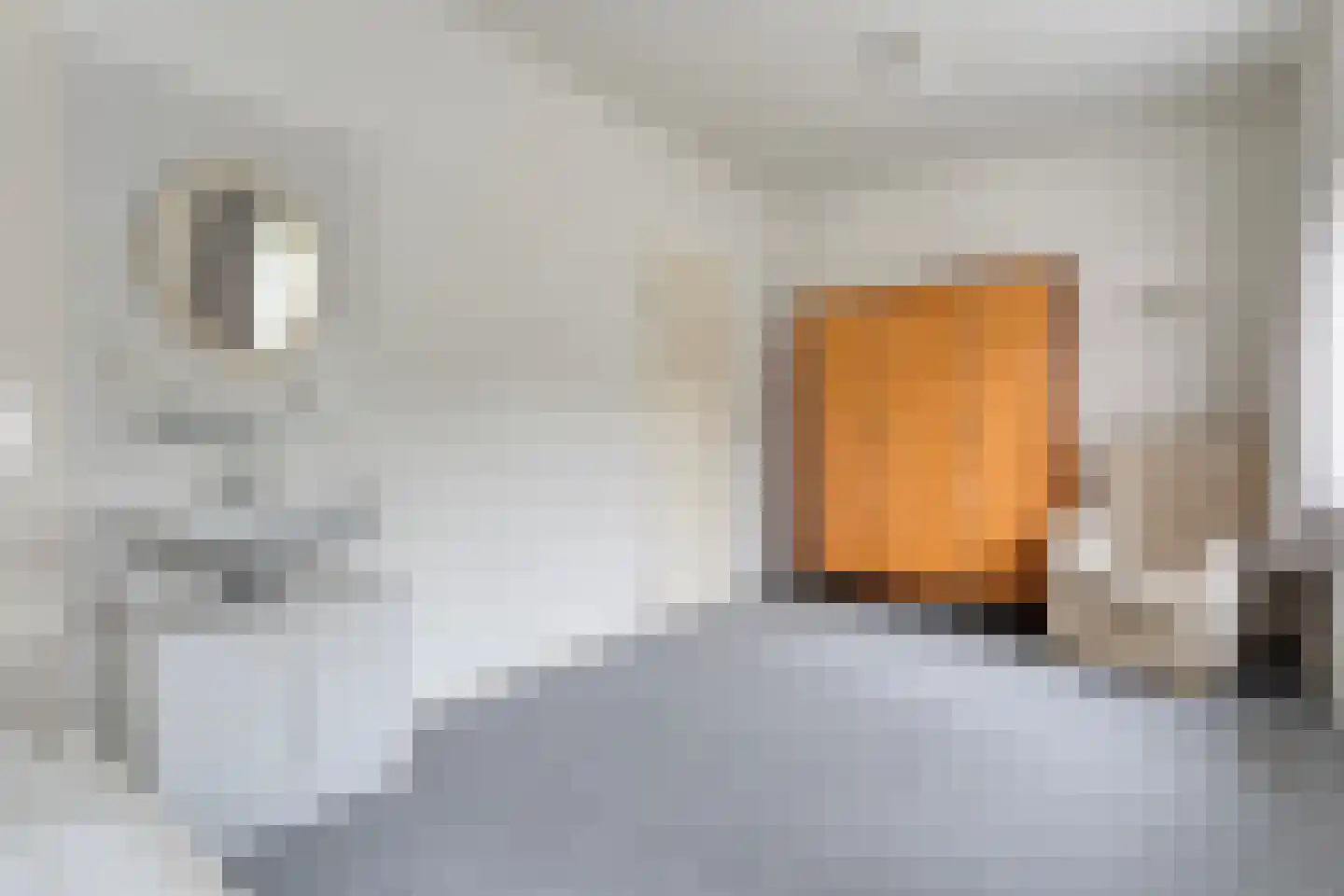Kymmelskampen 36 Dalen thumbnail 29