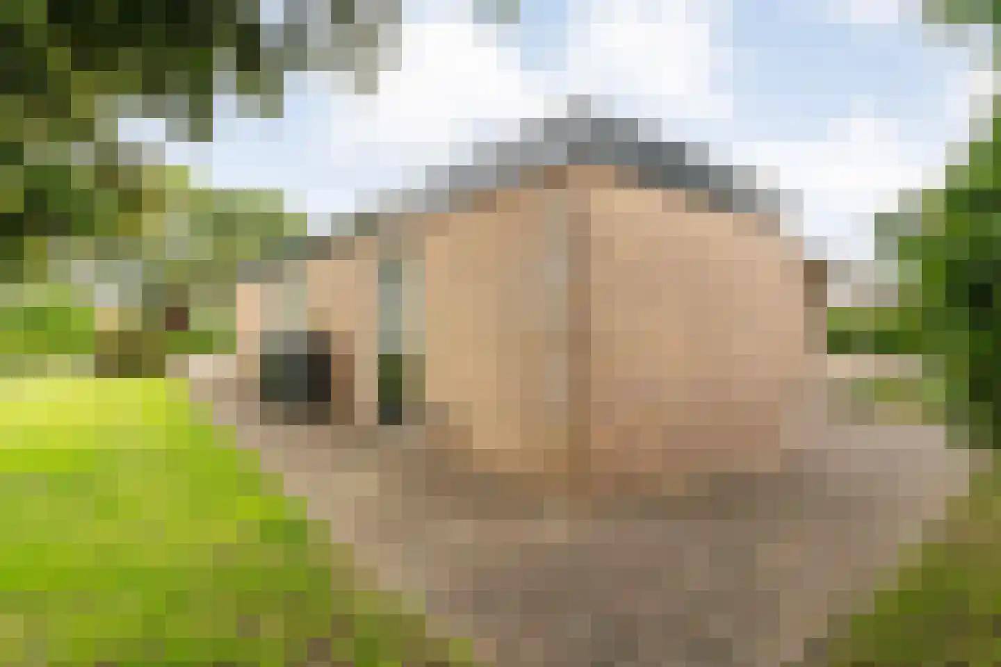 Kymmelskampen 36 Dalen thumbnail 39
