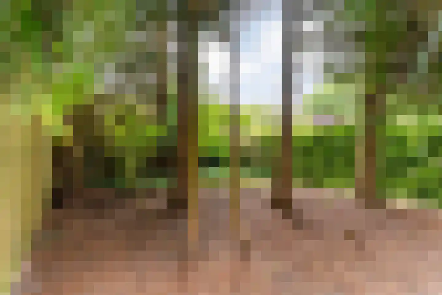 Kymmelskampen 36 Dalen thumbnail 40