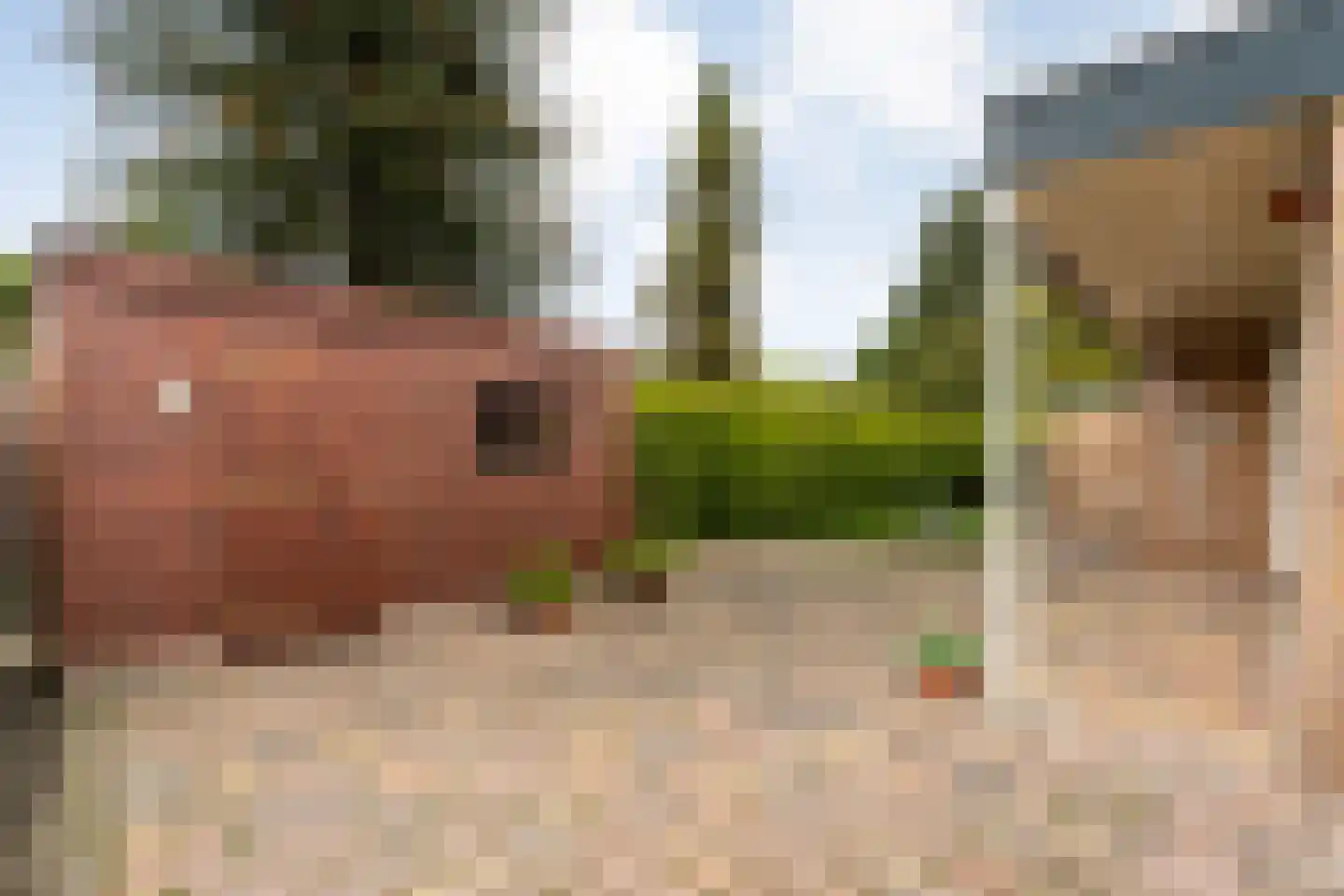 Kymmelskampen 36 Dalen thumbnail 48