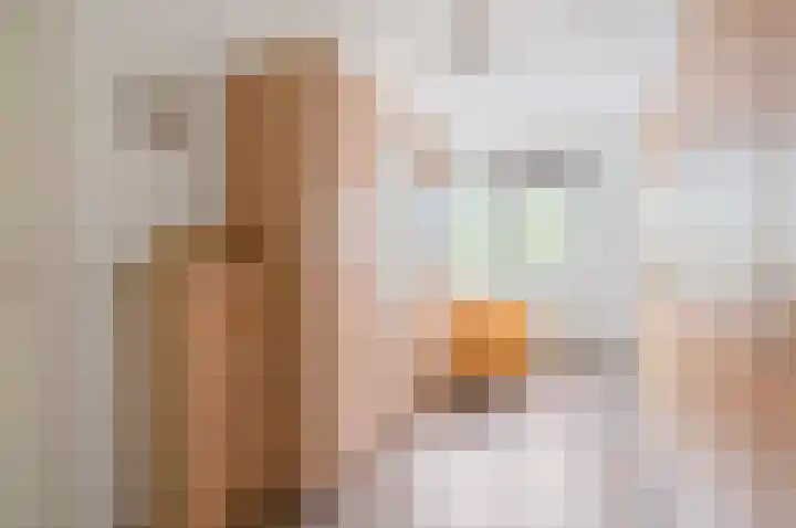 L.B. Pearsonstraat 23 Groningen thumbnail 27