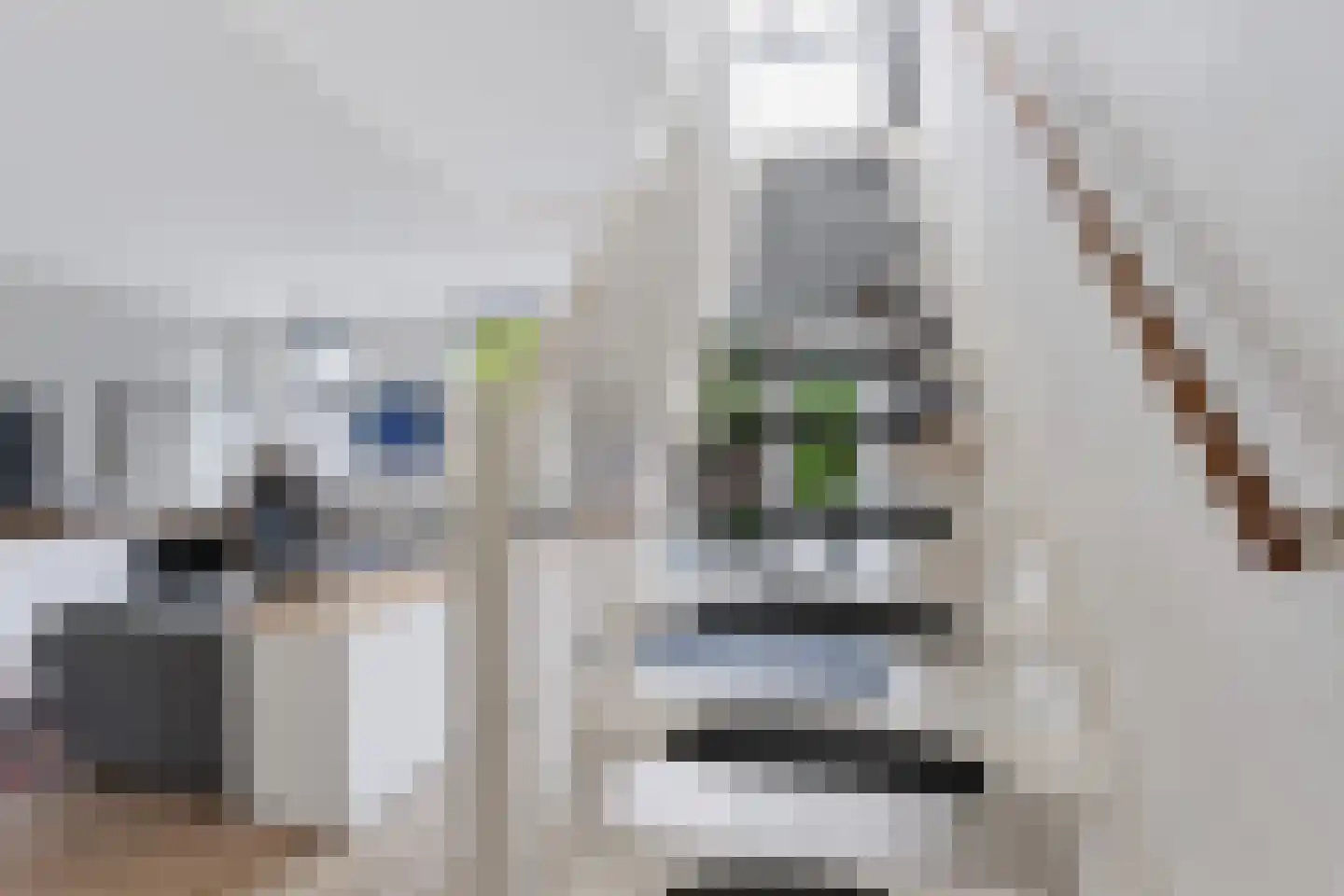 L.B. Pearsonstraat 31 Groningen thumbnail 15