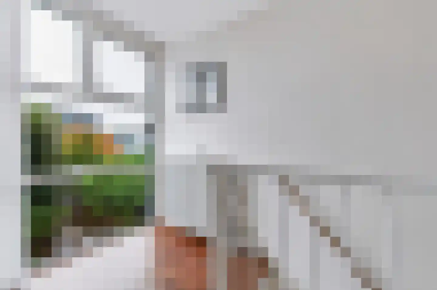 L.B. Pearsonstraat 31 Groningen thumbnail 16