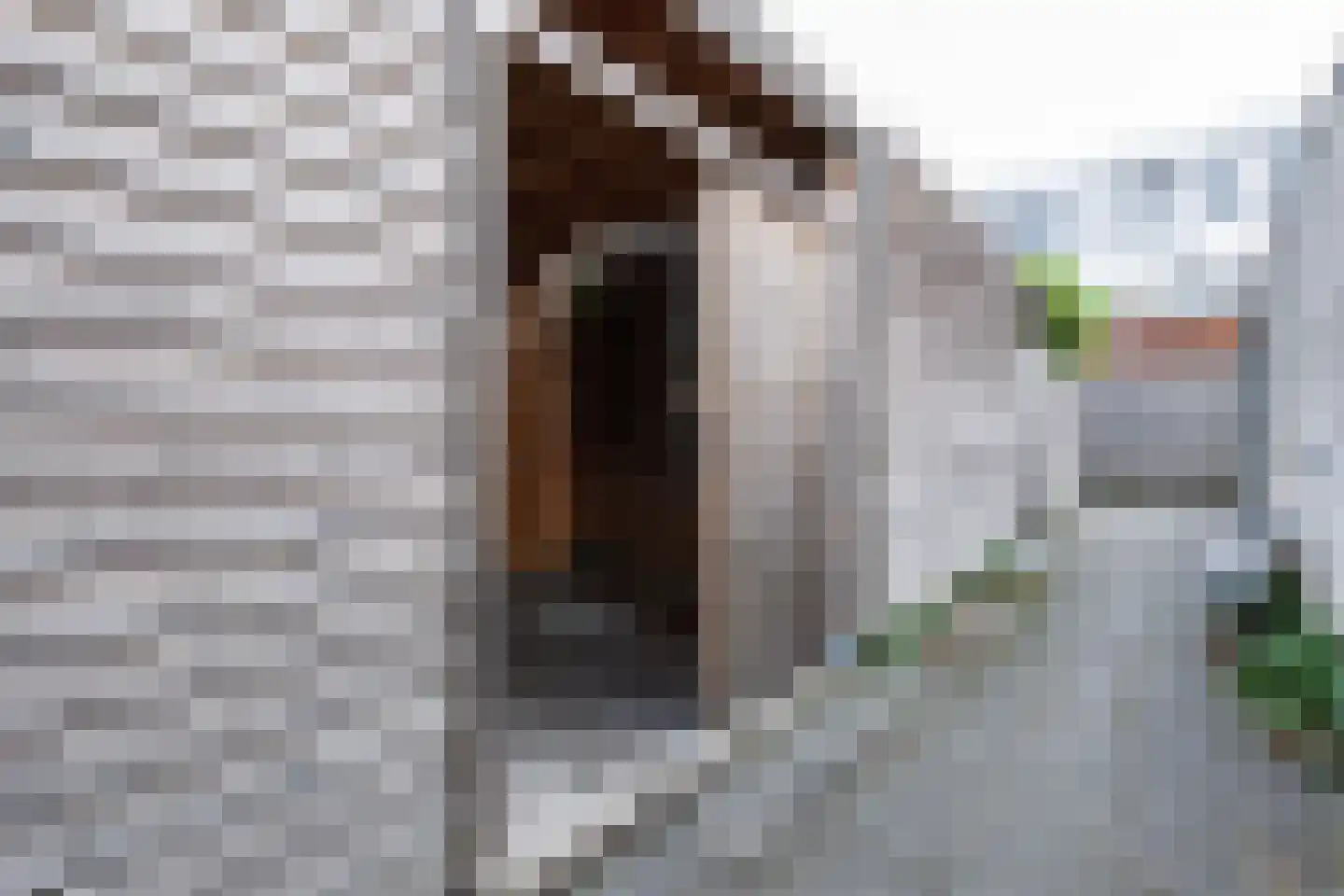 L.B. Pearsonstraat 31 Groningen thumbnail 47