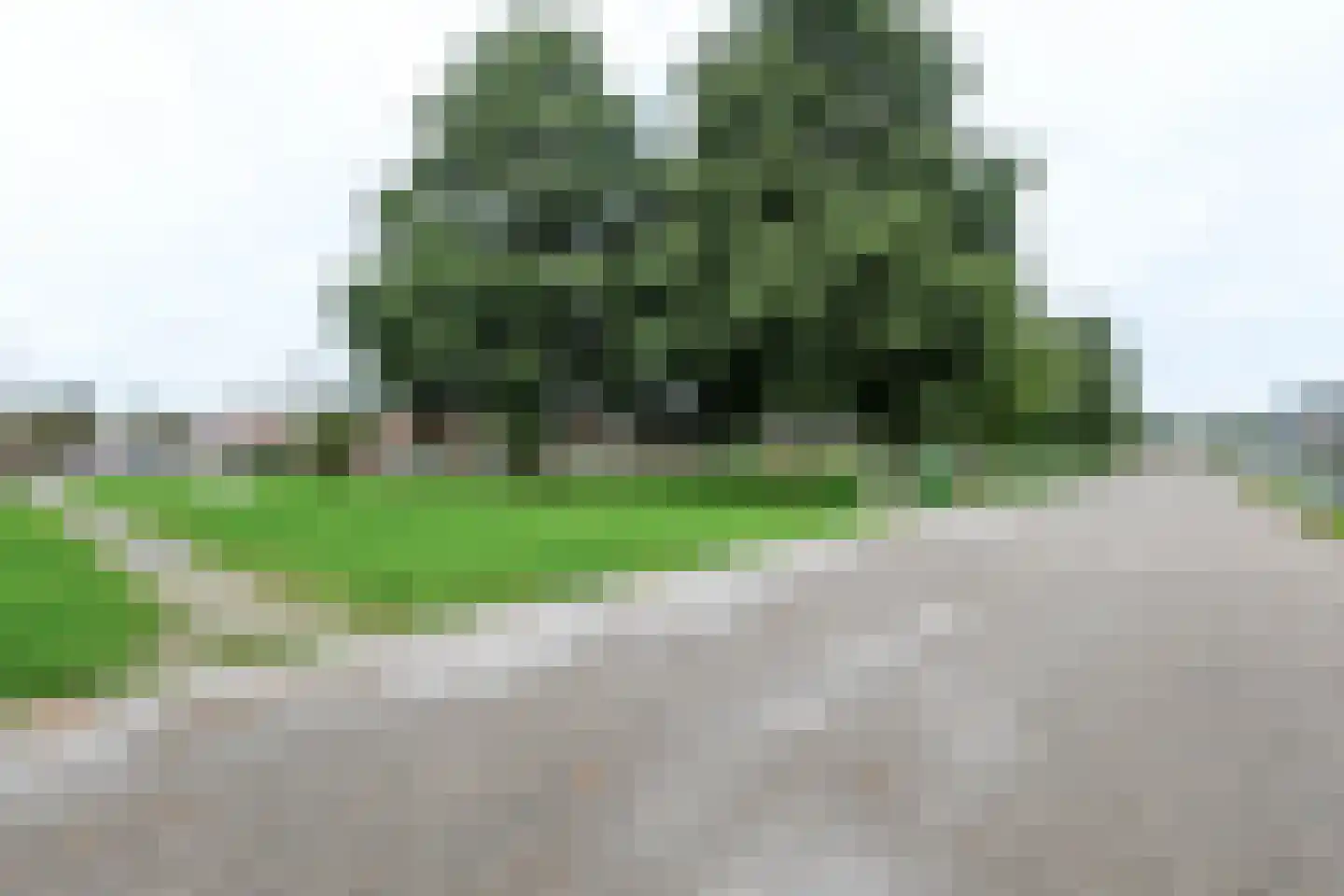 L.B. Pearsonstraat 31 Groningen thumbnail 53