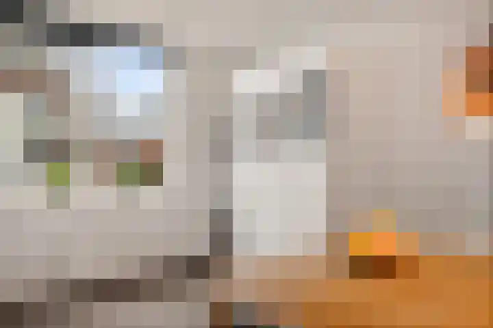 L.B. Pearsonstraat 33 Groningen thumbnail 15