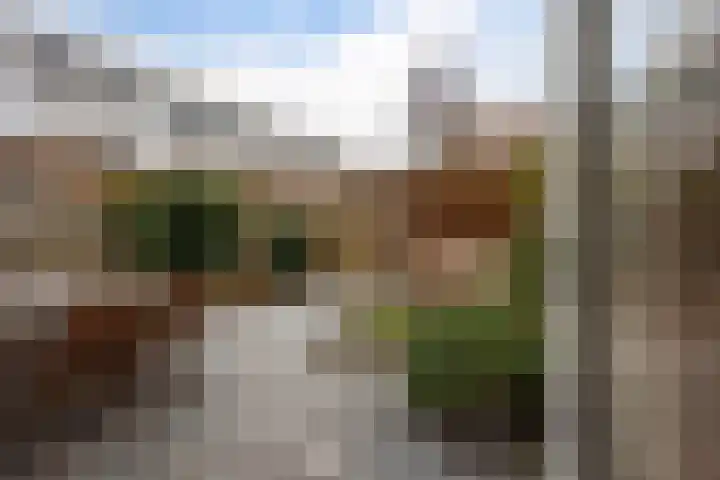 L.B. Pearsonstraat 33 Groningen thumbnail 33