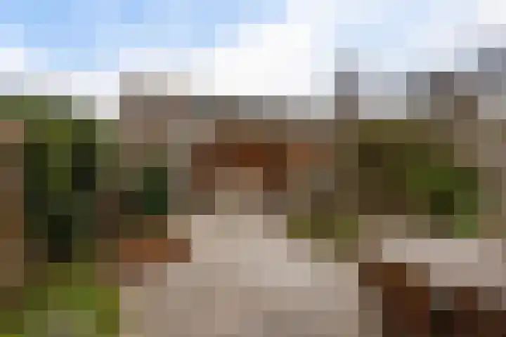 L.B. Pearsonstraat 33 Groningen thumbnail 34