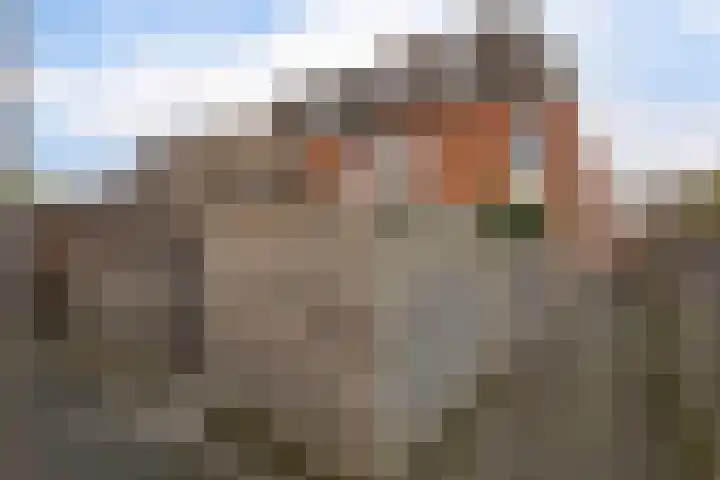 L.B. Pearsonstraat 33 Groningen thumbnail 37