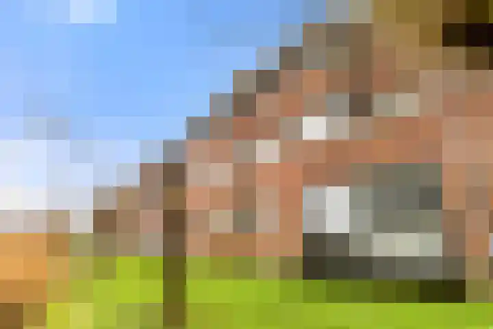 L. Brownstraat 41 Velserbroek thumbnail 31