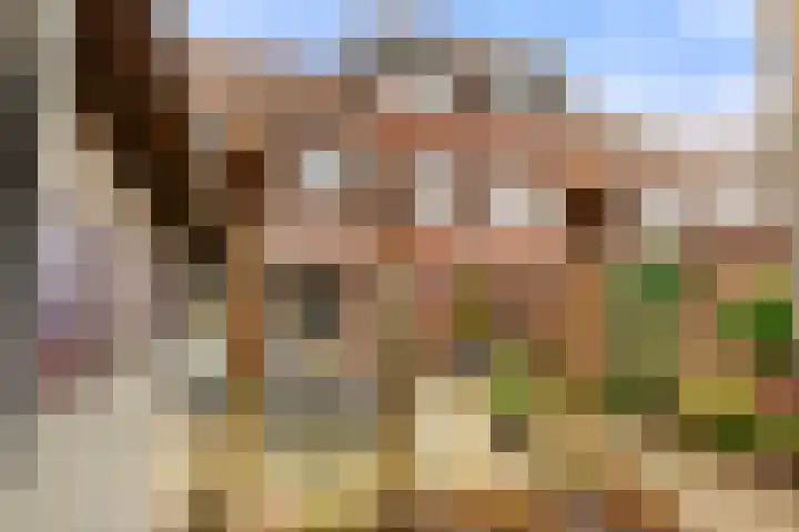 L. Brownstraat 41 Velserbroek thumbnail 6
