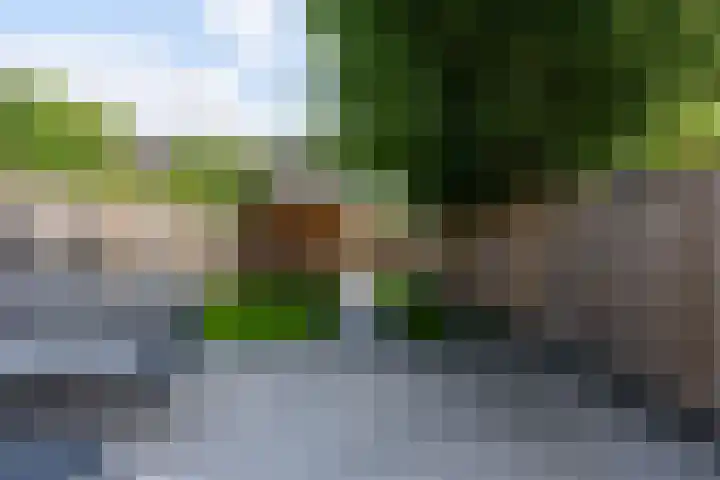 L.C. van der Vlugtstraat 102 Almere thumbnail 44