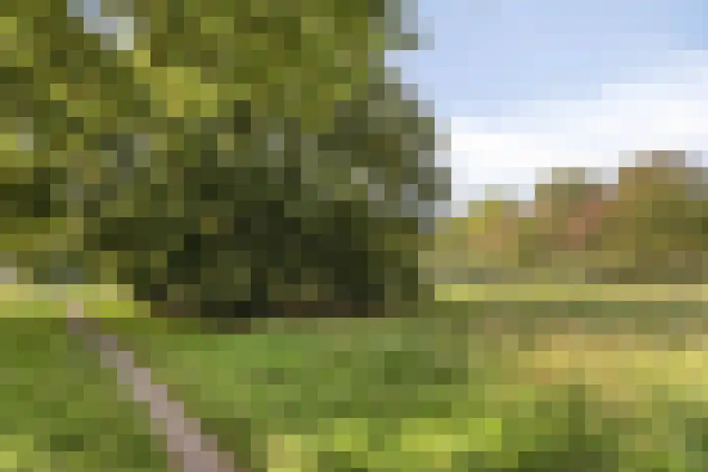 L.C. van der Vlugtstraat 71 Almere thumbnail 39