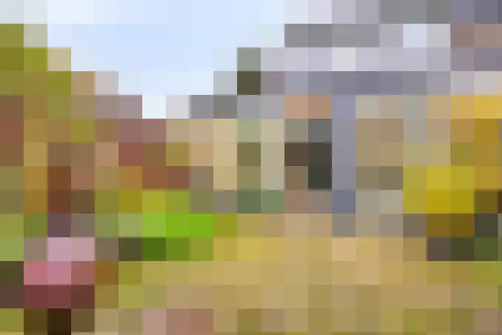 L.C. van der Vlugtstraat 9 Almere thumbnail 34