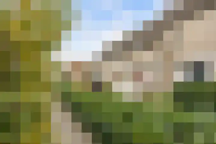 L.C. van der Vlugtstraat 98 Almere thumbnail 35