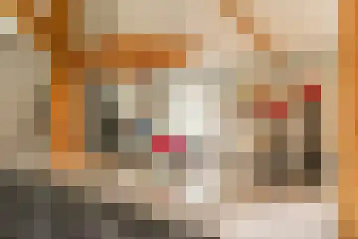 L. Dolfingweg 2 Steenderen thumbnail 12
