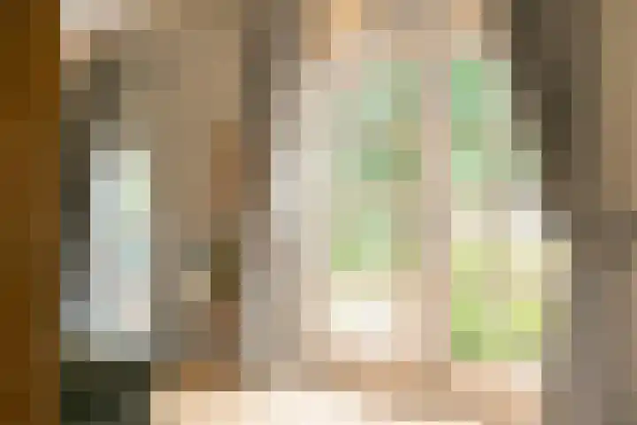 L. Dolfingweg 2 Steenderen thumbnail 13
